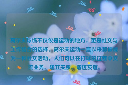 高尔夫球场不仅仅是运动的地方，更是社交与工作结合的选择。高尔夫运动一直以来都被视为一种社交活动，人们可以在打球的过程中交流业务、建立关系、增进友谊。