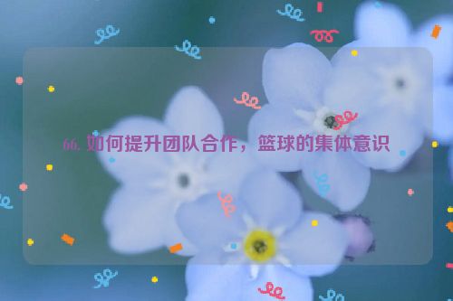 66. 如何提升团队合作，篮球的集体意识